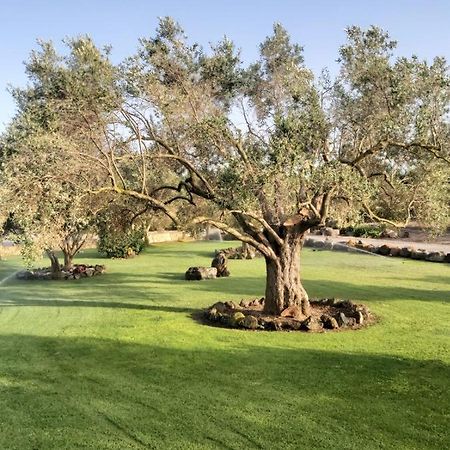 Su Sattisceddu Villa Uras Bagian luar foto
