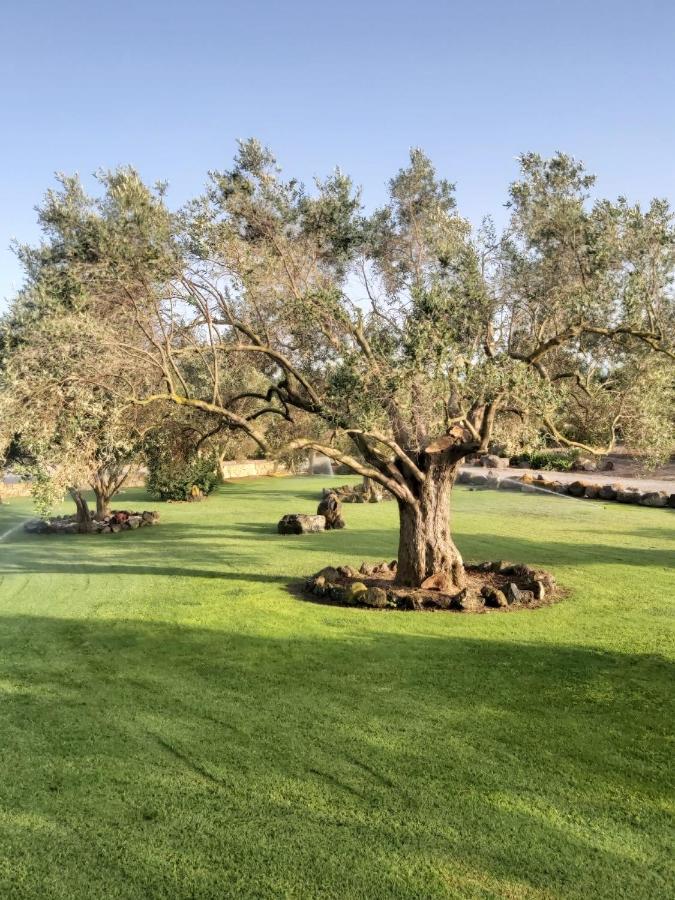 Su Sattisceddu Villa Uras Bagian luar foto