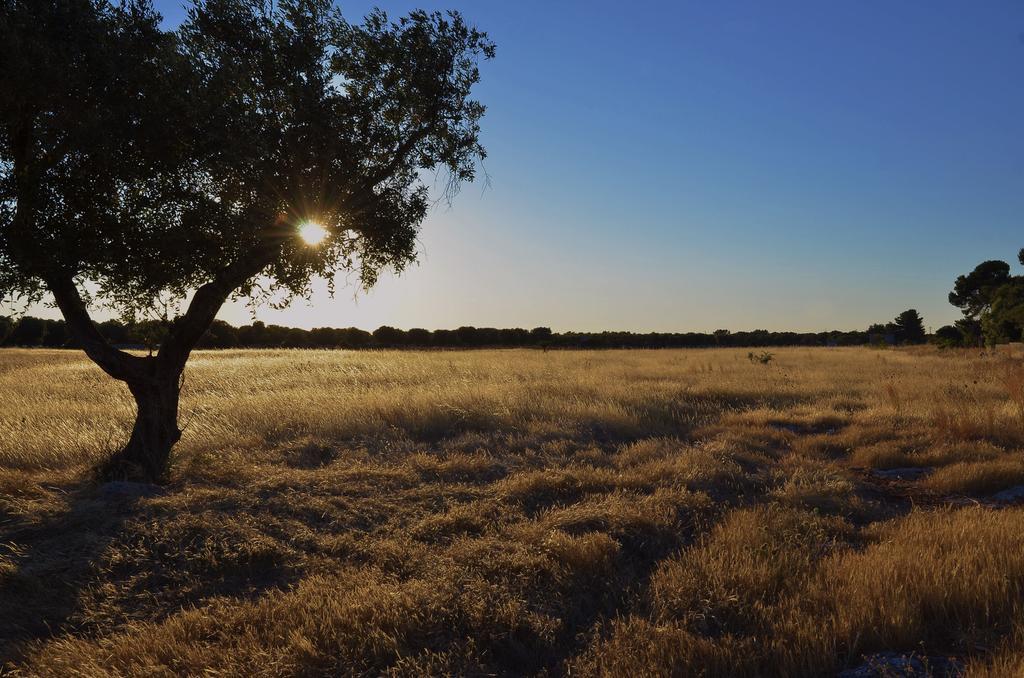 Su Sattisceddu Villa Uras Bagian luar foto